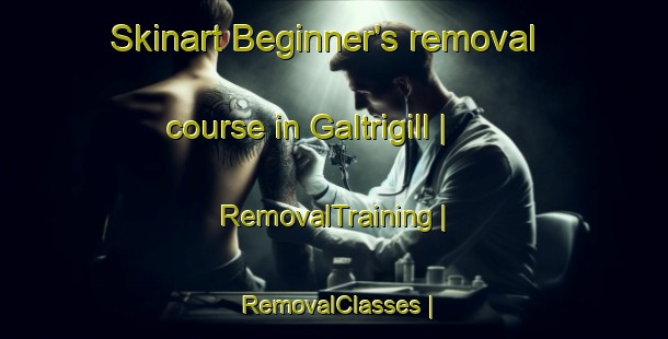 Skinart Beginner's removal course in Galtrigill | RemovalTraining | RemovalClasses | SkinartTraining-United Kingdom